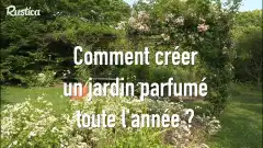 Comment et quand planter des graines de ciboulette sans boulette - Facilité  de plantation et d'entretien - PRÊT A JARDINER