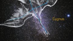 Cygnus Loop Zoom + Morph