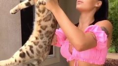 Shanna Kress : Accusée de maltraitance animale, elle voit rouge et s'emporte
