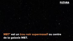 L'ombre du trou noir supermassif M87*