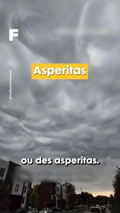 KARINE_ASPERATUS