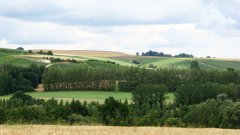 Tour de France de la biodiversité : le Parc naturel régional de la Montagne de Reims