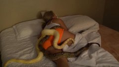 Il met des dizaines de serpents dans le lit de sa copine pour la reveiller