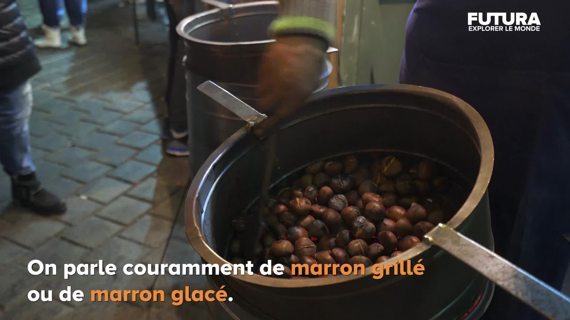 Quelle est la différence entre un marron et une châtaigne ? Futura