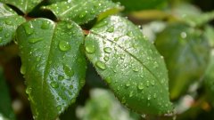 Un revêtement superhydrophobe empêche l’eau de mouiller