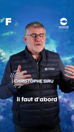 Planète - Vidéos Futura - Intemporelles