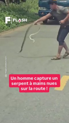 Planète - Vidéos Futura - Temporelles