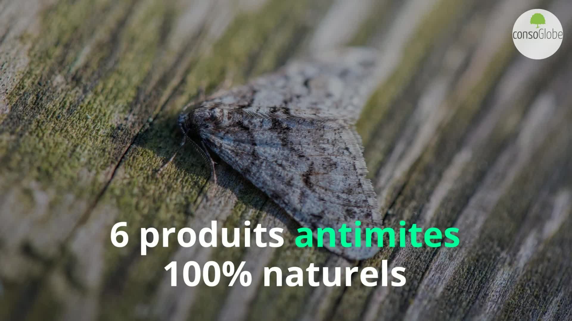 Voici les MEILLEURS produits antimites pour faire fuir les mites
