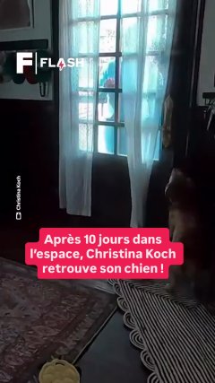 Sciences Vidéos Futura - Temporelles