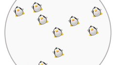 Arriverez-vous à bout de l'énigme des 10 pingouins ?