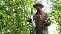 Découvrez les grottes inexplorées de Lastoursville, au Gabon