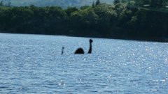 Le monstre du Loch Ness : une nouvelle photo relance les rumeurs sur son existence