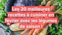 les-20-meilleures-recettes-de-legumes-de-fevrier