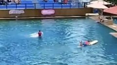 Floride : rendu fou par ses mauvaises conditions de vie, un dauphin attaque son dresseur en pleine représentation