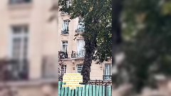 Simon Castaldi : Il lance un appel à l'aide sur la toile !