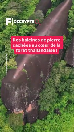 Planète - Vidéos Futura - Intemporelles