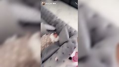 Kim Glow : sa fille au plus mal, elle prend une décision