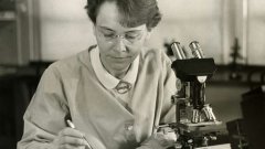 Barbara McClintock, pionnière de la génétique