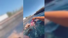 Kim Glow : Accusée de maltraiter sa chienne, elle réagit violemment !