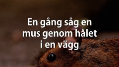 Livet straffar alltid den som är egoistisk