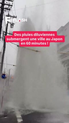 Planète - Vidéos Futura - Temporelles