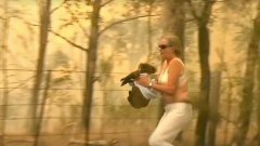 Incendies en Australie : une femme se précipite pour sauver un koala piégé et brûlé
