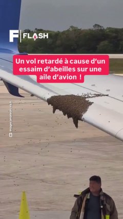 Planète - Vidéos Futura - Temporelles