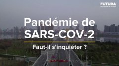 Pandémie de SARS-COV-2 : faut-il s’inquiéter ?