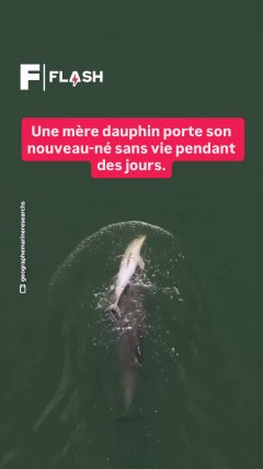 Planète - Vidéos Futura - Temporelles