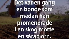 Berättelsen om örnen som övervunnit sin rädsla