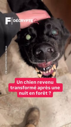 Planète - Vidéos Futura - Temporelles