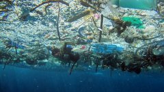 Voici les 10 fleuves qui rejettent le plus de déchets plastiques dans les océans