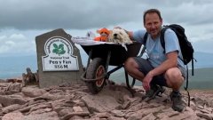 Cet homme a emmené son chien atteint d'un cancer faire une dernière promenade sur son itinéraire favori