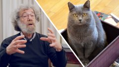 Interview : le paradoxe du chat de Schrödinger