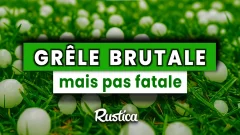 Grêle brutale, mais pas fatale