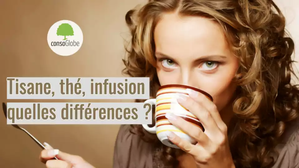 Thé, infusion, tisane, quelle différence ? – Cafés Rama