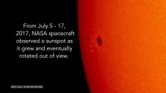 Two Weeks in the Life of a Sunspot