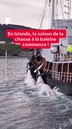 Planète - Vidéos Futura - Temporelles